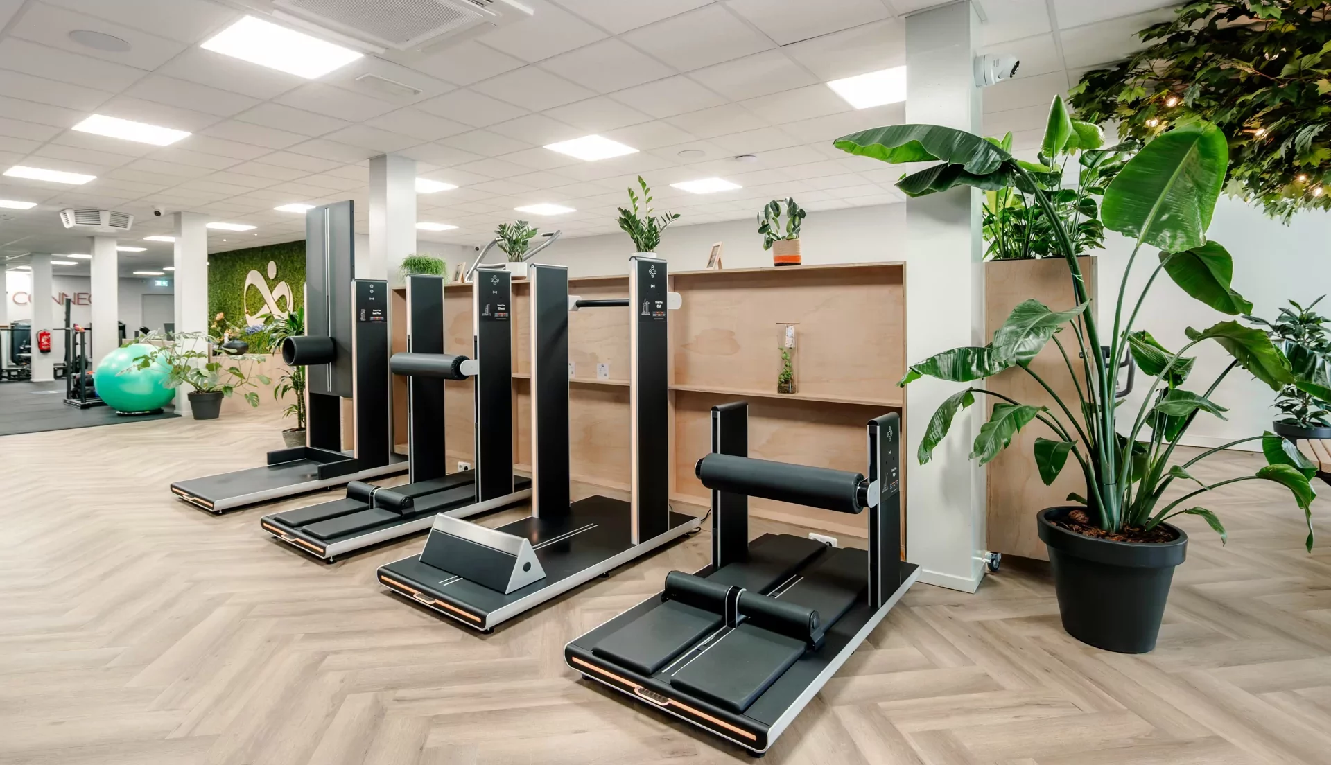 Flexibiliteitstraining Workum